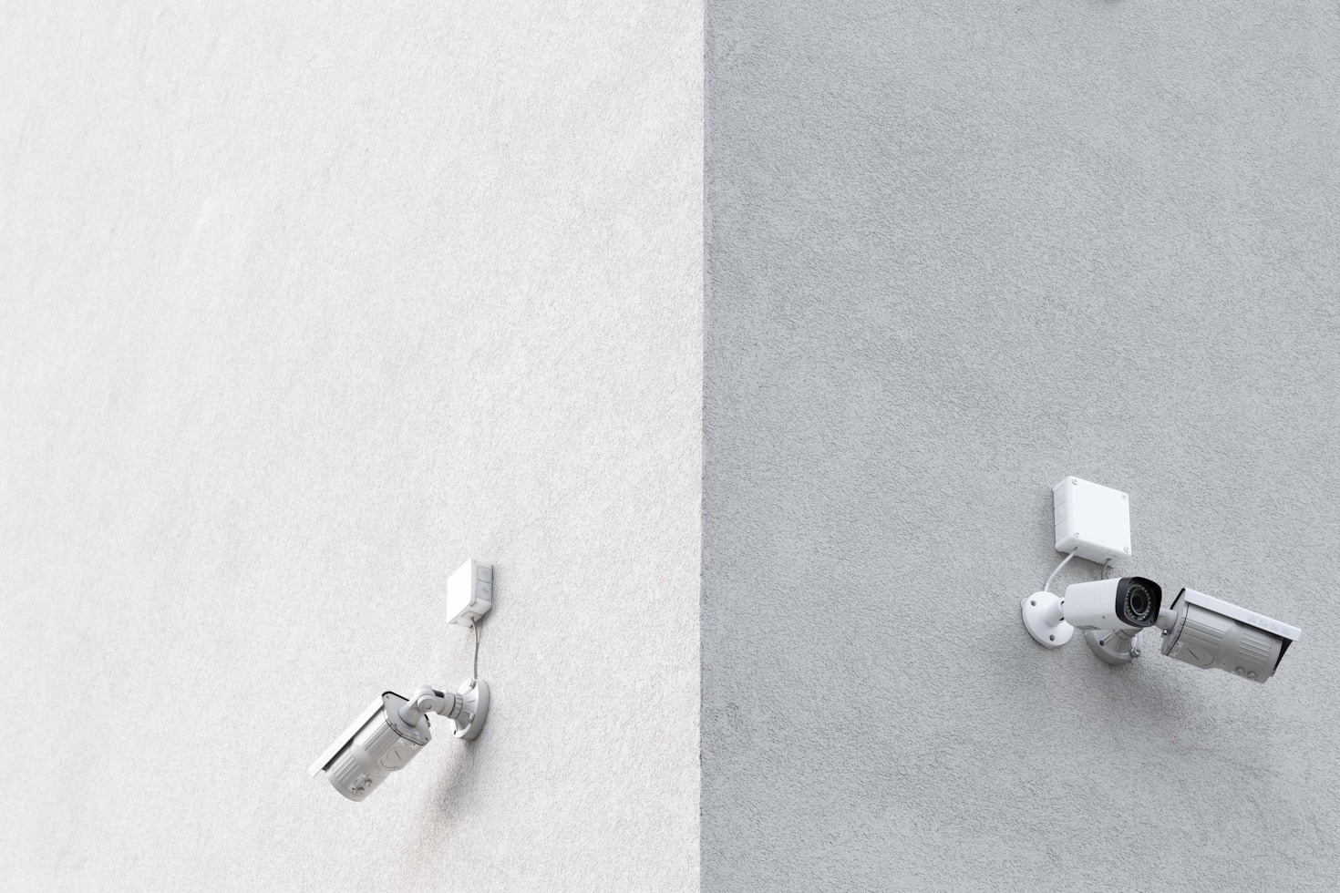 Expert Tips for Ensuring Your Business Stays Secure